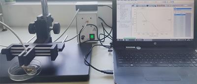 Fast Detection of Diarrhetic Shellfish Poisoning Toxins in Mussels Using NIR Spectroscopy and Improved Twin Support Vector Machines